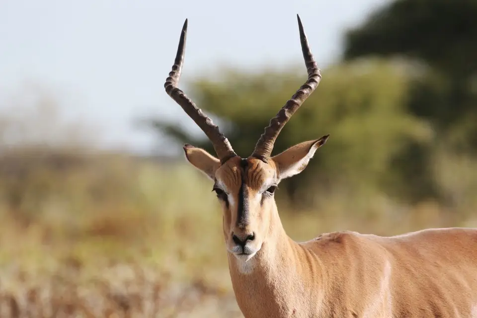 Na26a_2418.JPG