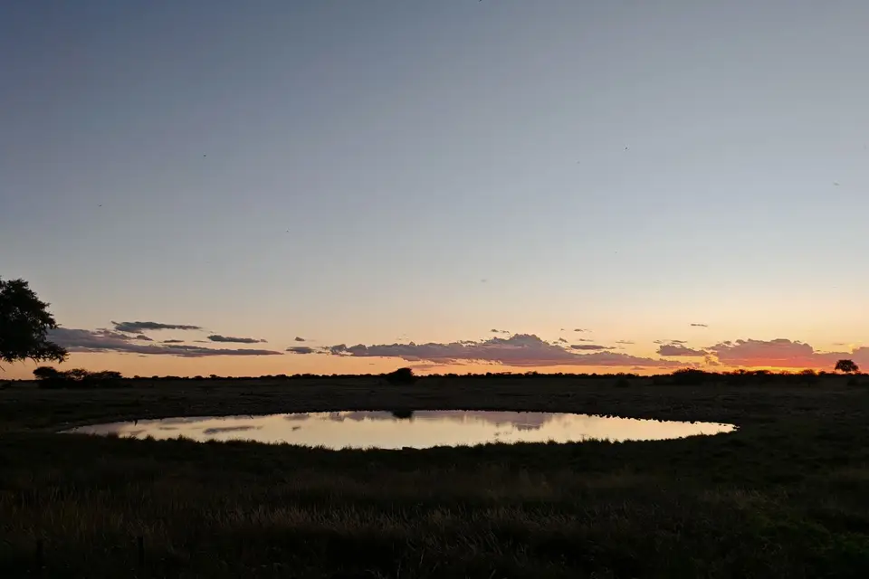 Na26a_2926.jpg