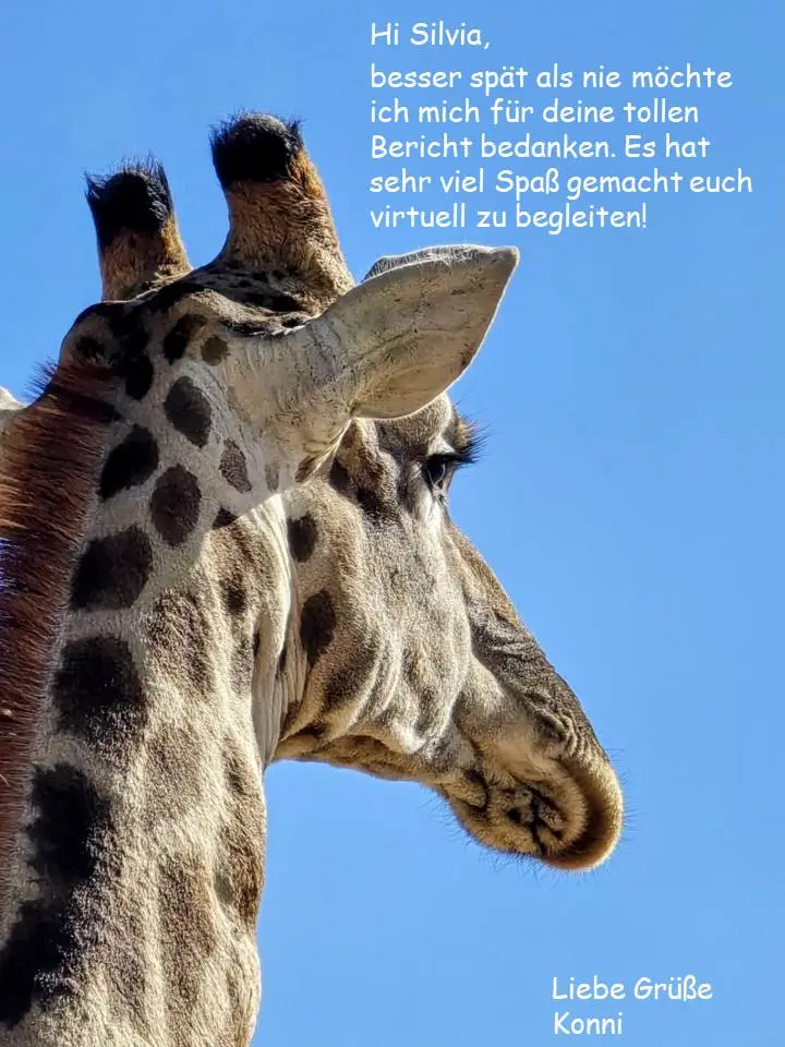 Nacho.jpg
