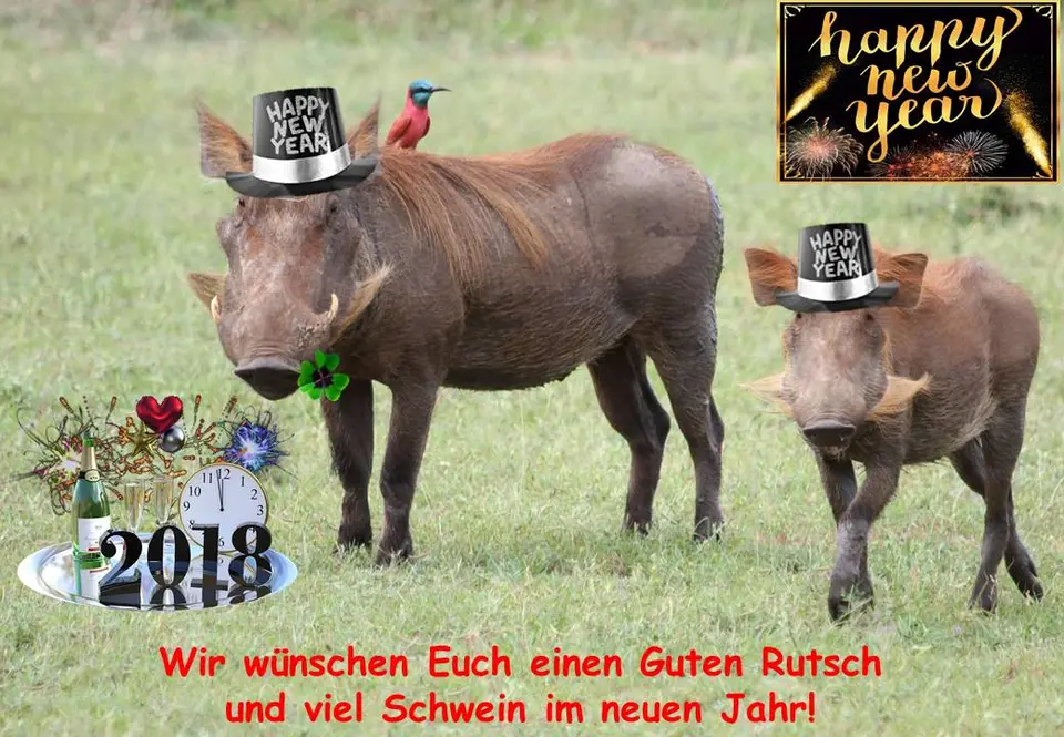Neujahr_2018a.jpg