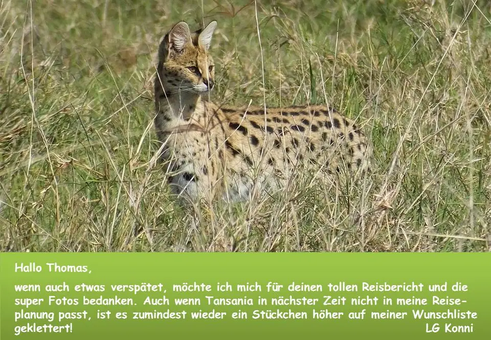 Topobär-2.jpg
