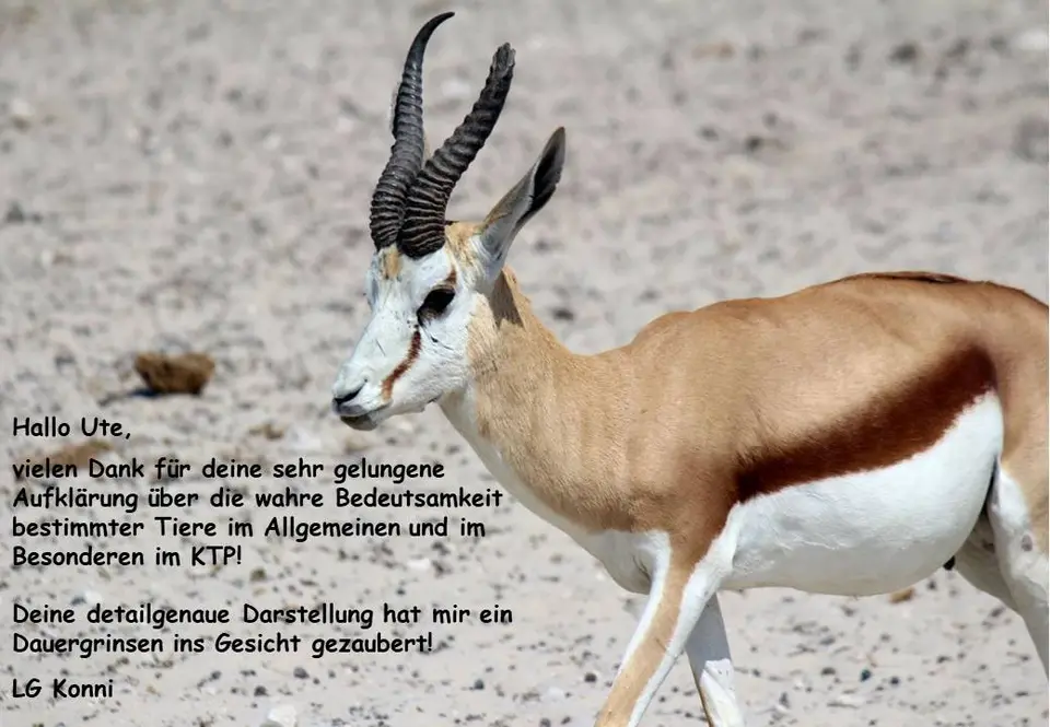 UDI.jpg