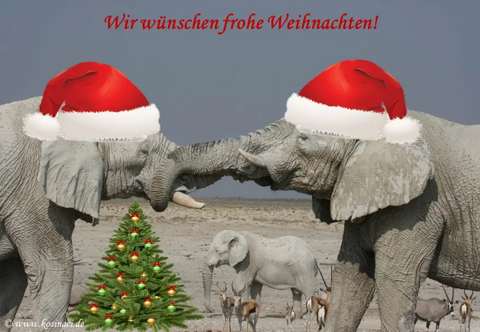 Weihnacht.jpg