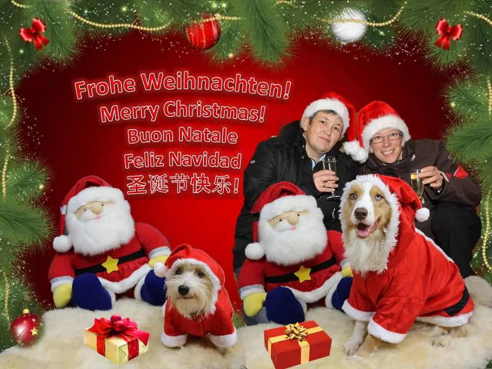 Weihnacht1-2.jpg