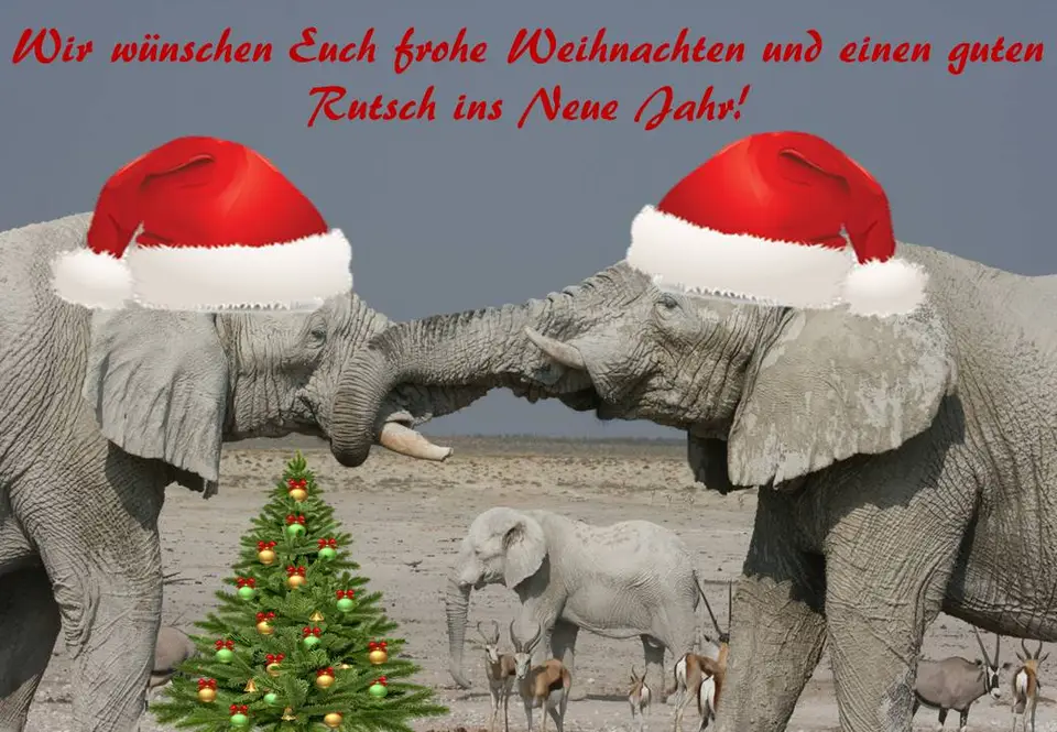 Weihnacht_2017.jpg