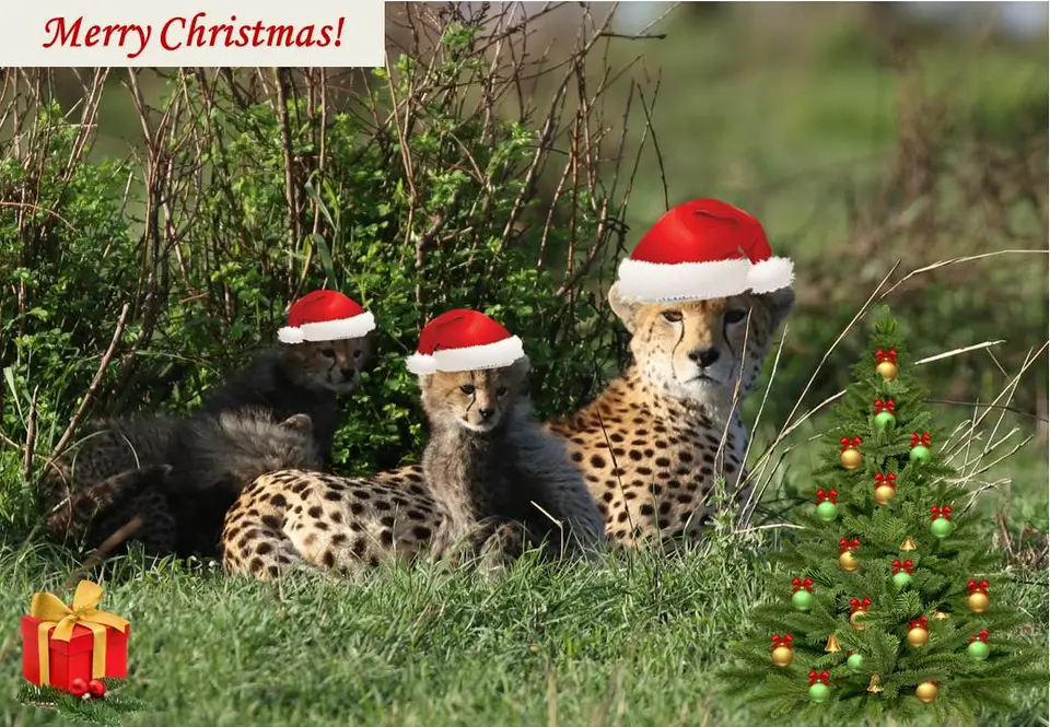 Xmas_2023-2.jpg
