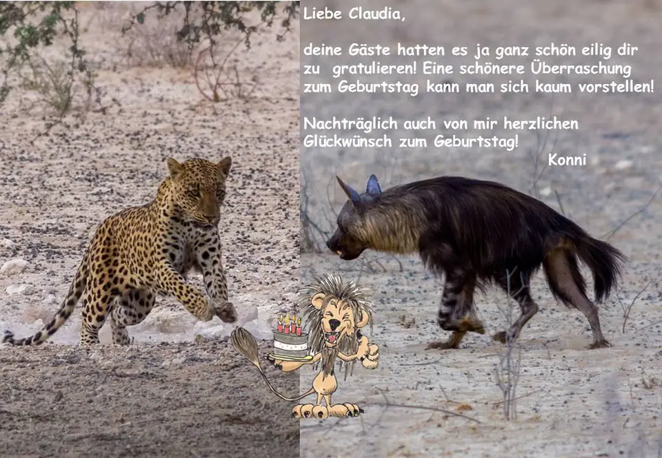 claudia.jpg