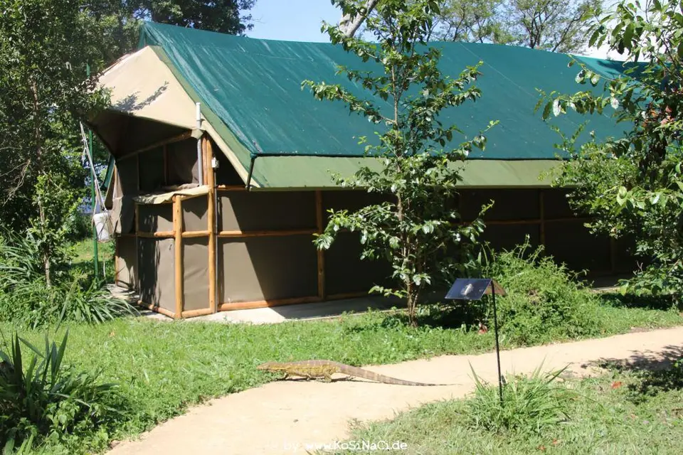 h6ab647d.JPG