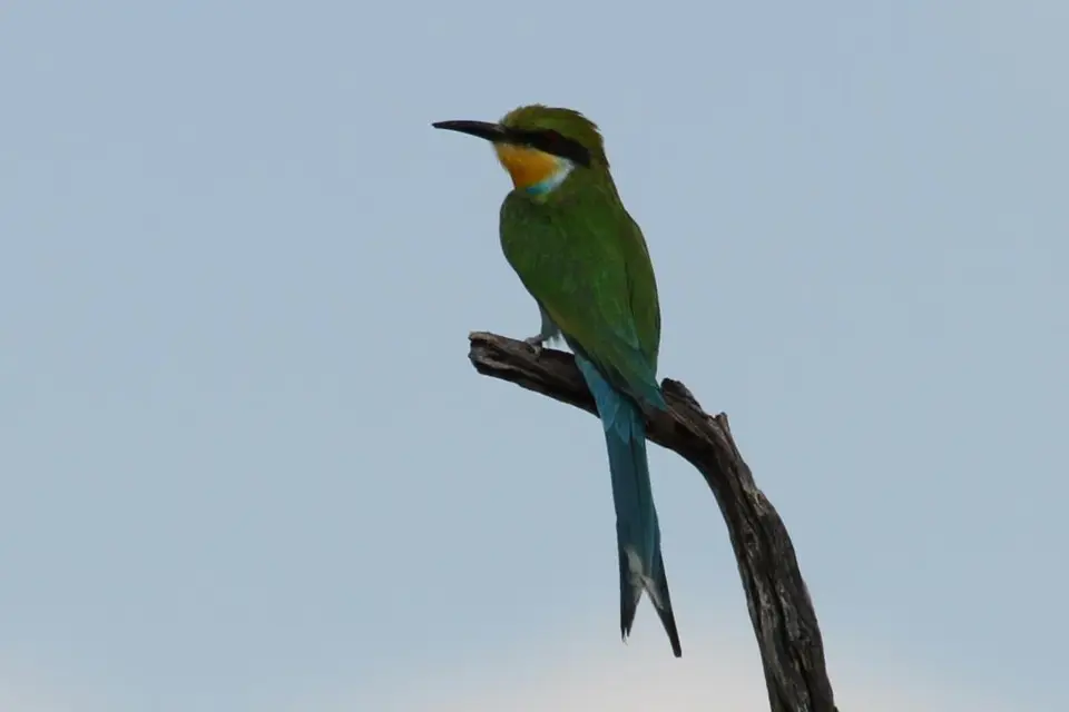 h9658ee1.JPG