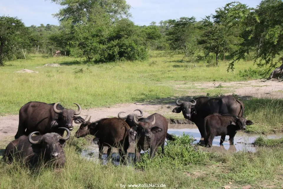 hbbd61b3.JPG
