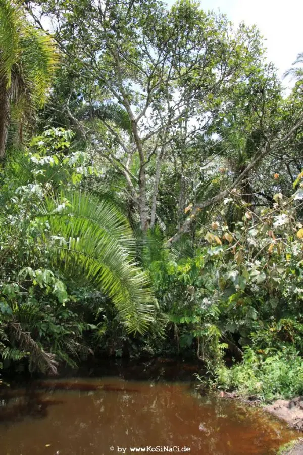 hce9ae00.JPG