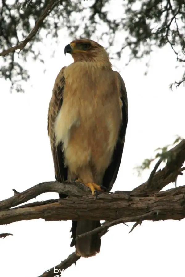 he7912da_2015-05-31.JPG