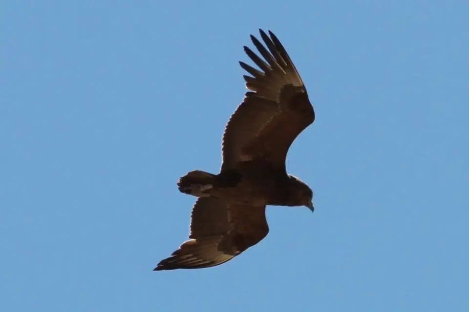 hf973494.JPG