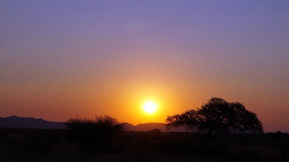DSC01120.JPG
