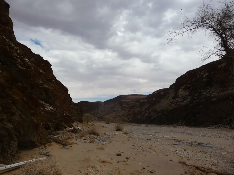 P1120929.JPG