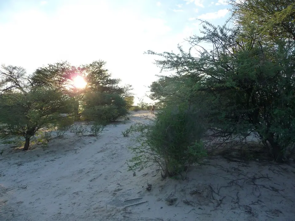 h675937c.JPG