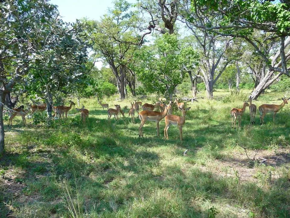 hfe07661.JPG