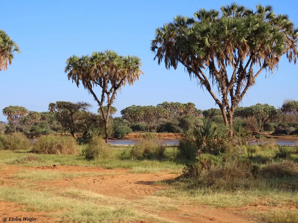 EwasoNyiroRiver.jpg