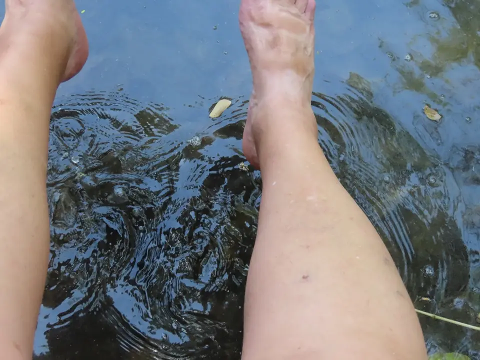 FishFootTherapy1.jpg