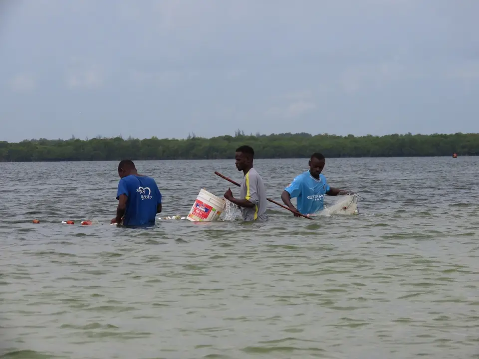 FishermanMidaCreek.jpg