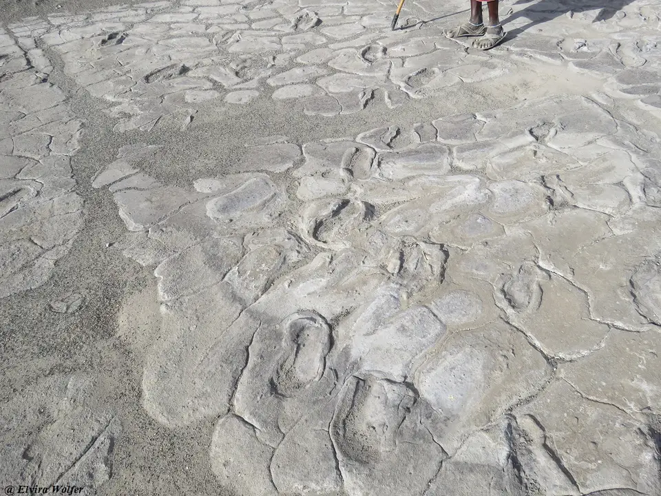 Footprints1.jpg