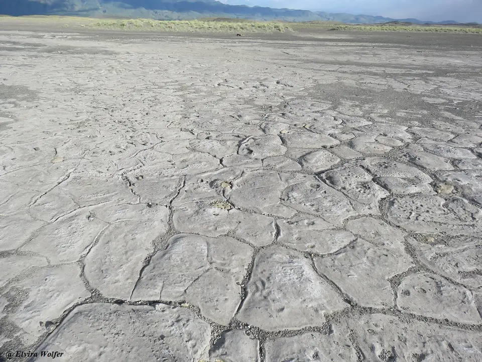 Footprints2.jpg
