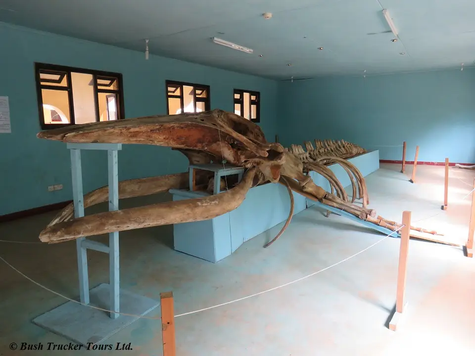 GediMuseum5.jpg