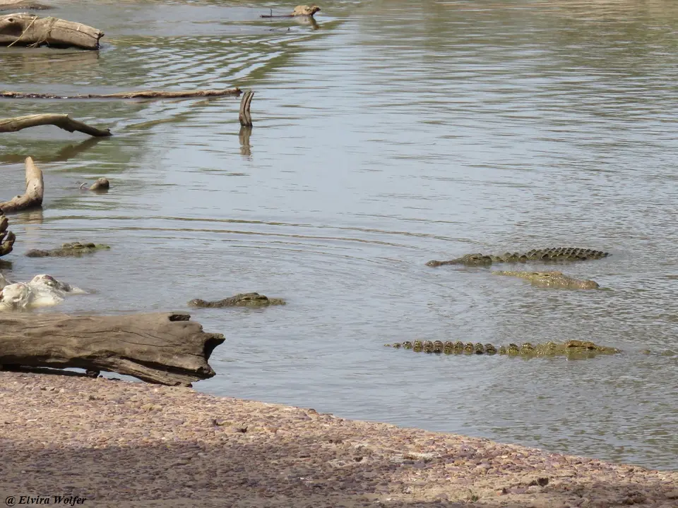 GrumetiRiver4.jpg