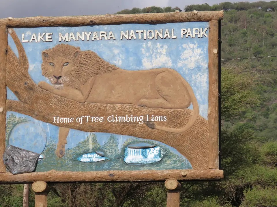 HomeofTreeclimbingLions.jpg