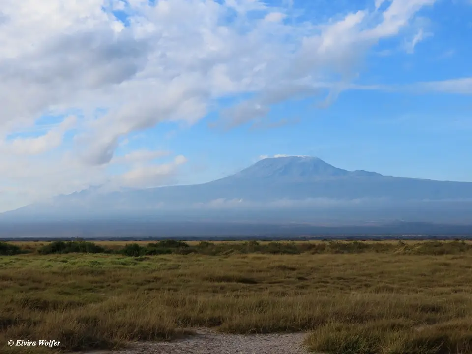Kilimanjaro1-2.jpg