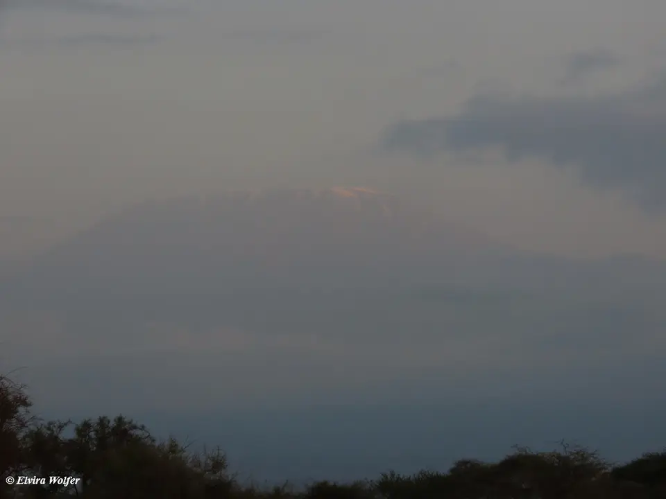 Kilimanjaro1.jpg
