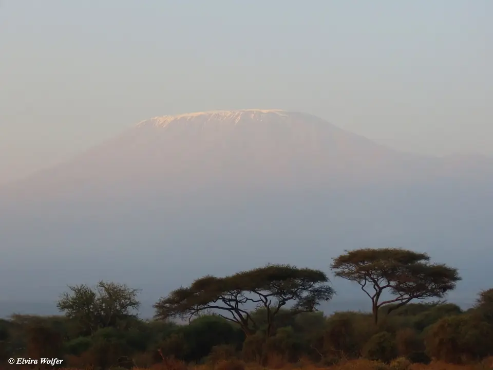 Kilimanjaro2.jpg