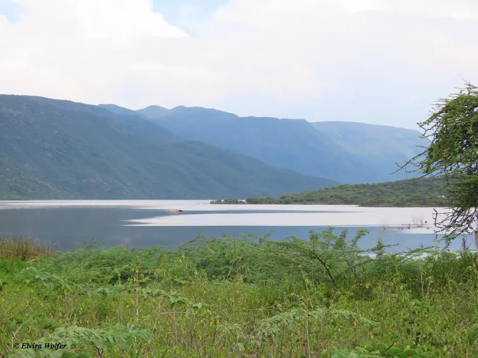 LakeBogoria1.jpg