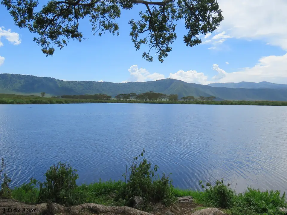 LakePicnic.jpg