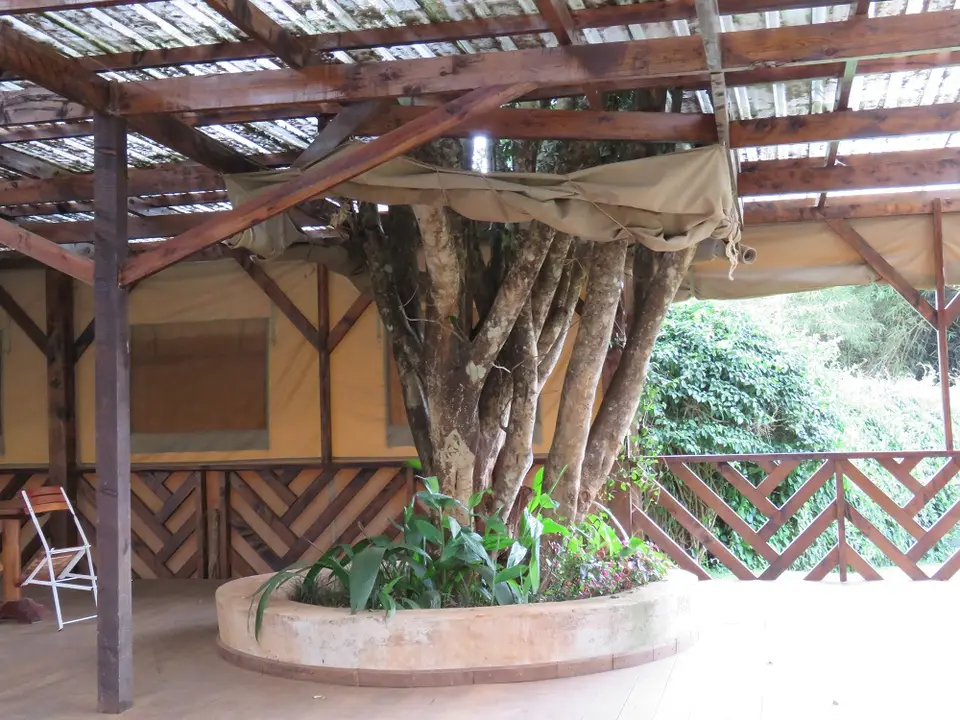 LePrestineMeetingplace.jpg
