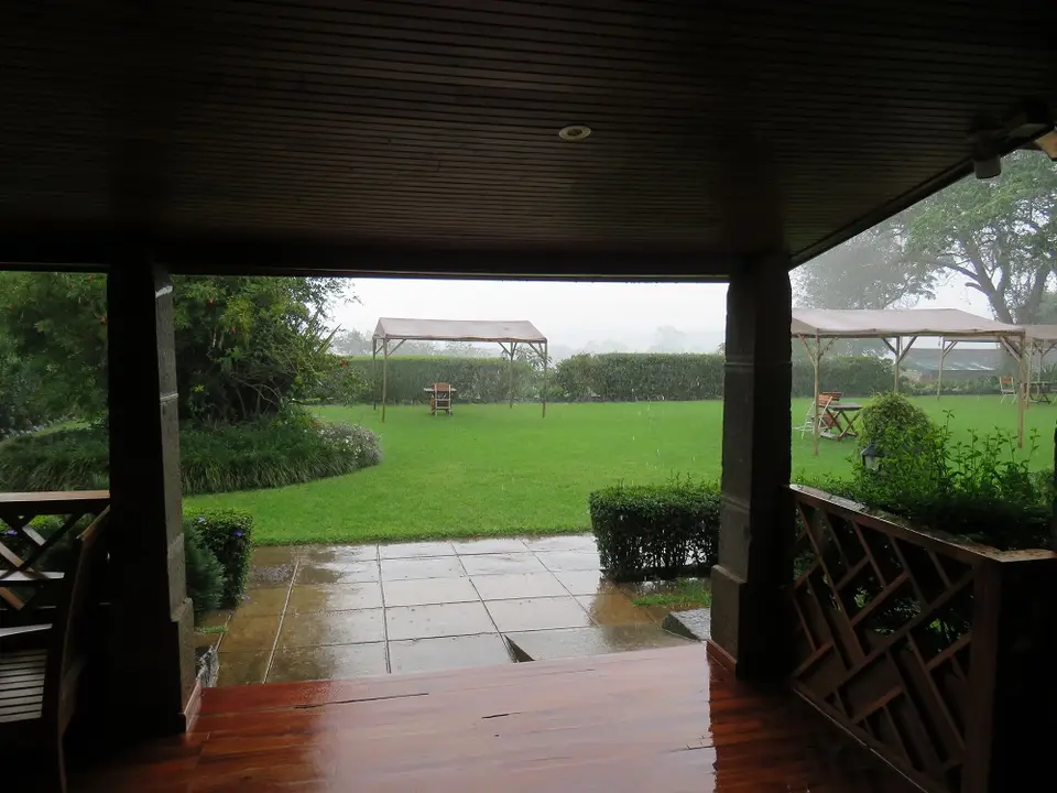 LePristineRegen.jpg