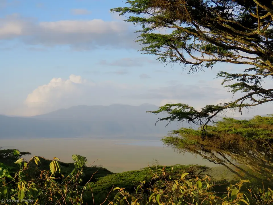 Lion'sPawviewintocrater.jpg