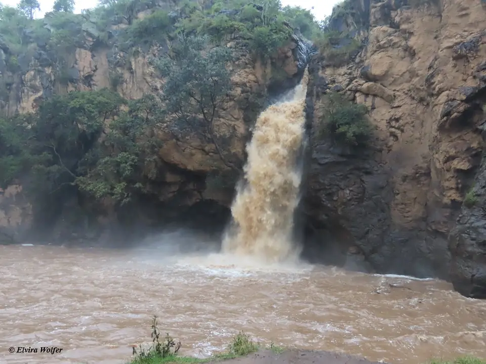 MakaliaFall1.jpg