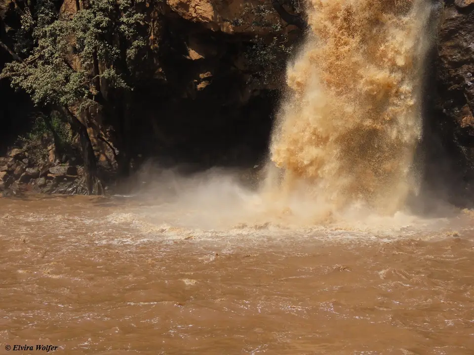 MakaliaFall2.jpg