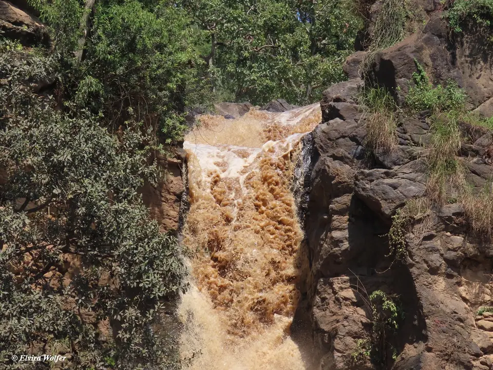 MakaliaFall5.jpg