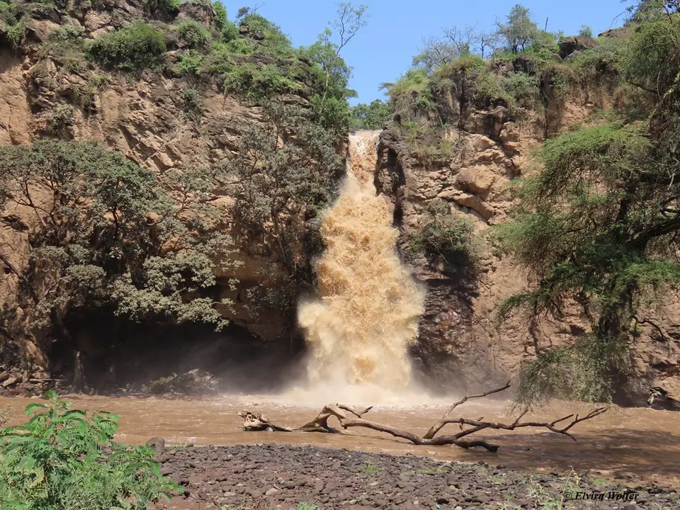 MakaliaFall6.jpg