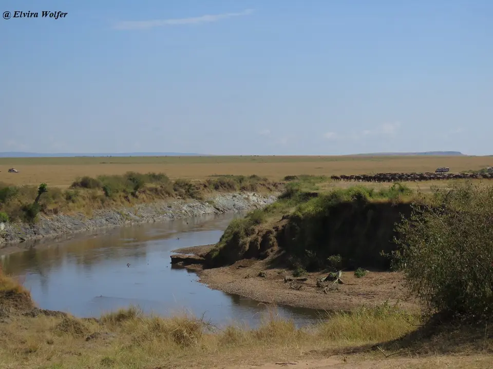 MaraRivercrossings3071.jpg