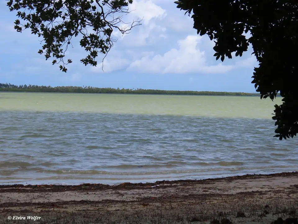 MidaCreekFlut.jpg