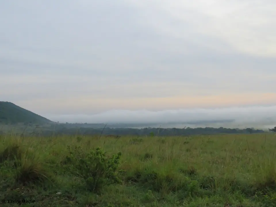 MorgenstimmungmitNebel2.jpg