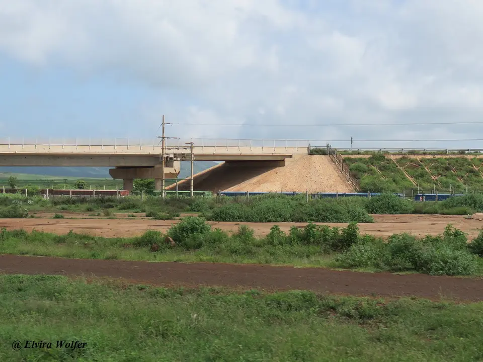 SGR1.jpg