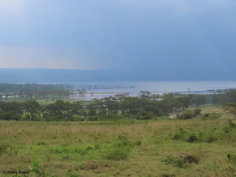 SichtaufNakuruSee.jpg