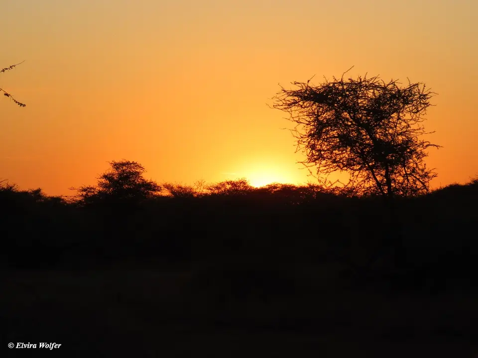 Sonnenaufgang2-2-3.jpg