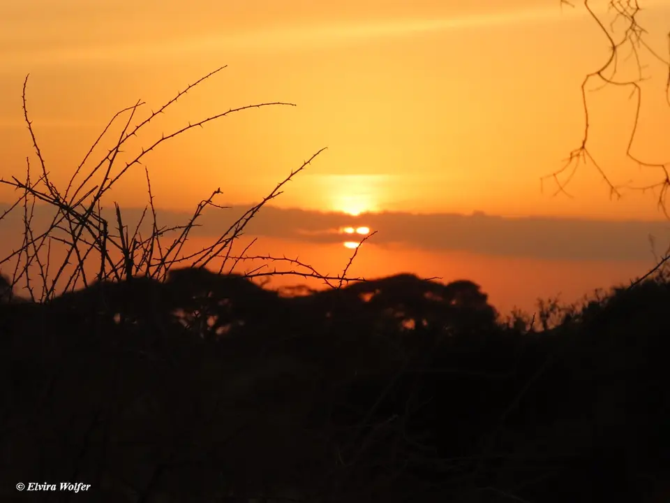 SonnenuntergangAmboseli1.jpg