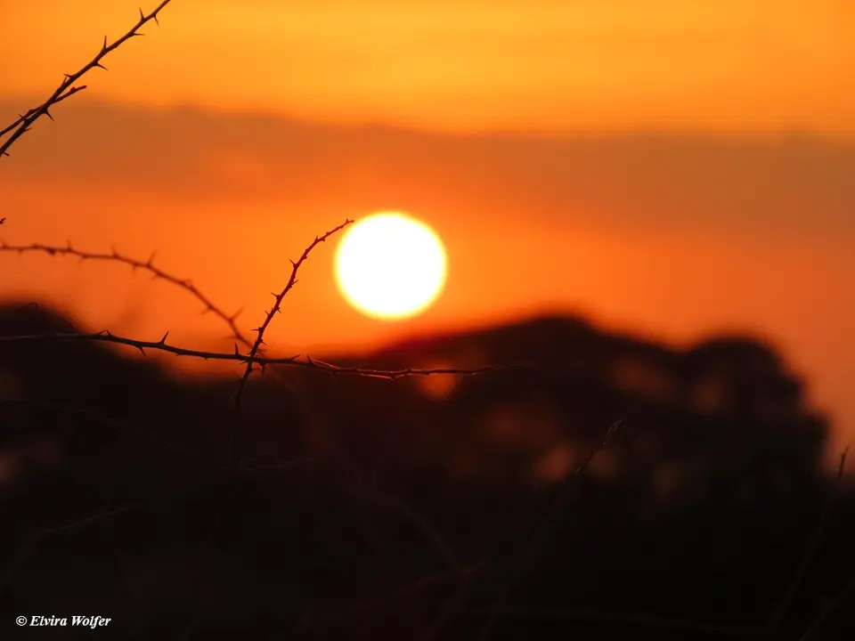 SonnenuntergangAmboseli2.jpg