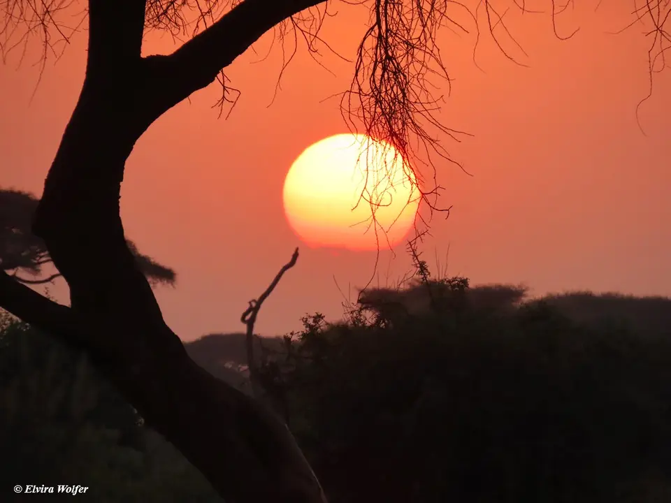 SonnenuntergangAmboseli3.jpg